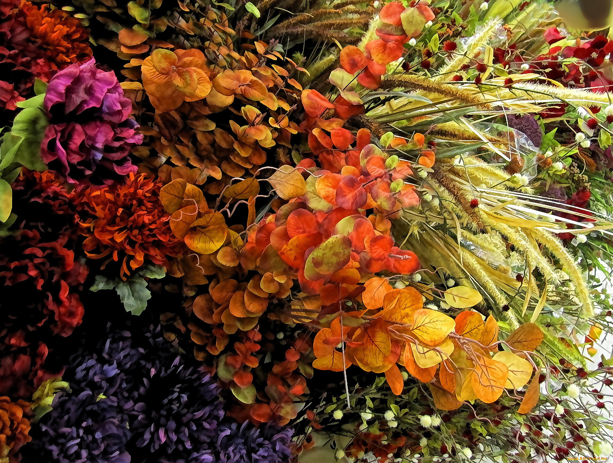 ,  , , , 